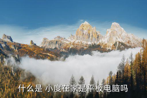 什么是 小度在家是平板電腦嗎