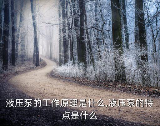 液壓泵的工作原理是什么,液壓泵的特點(diǎn)是什么
