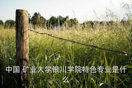 中國 礦業(yè)大學(xué)銀川學(xué)院特色專業(yè)是什么
