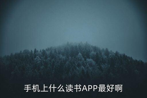 手機(jī)上什么讀書(shū)APP最好啊