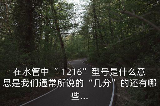 1216,1216和1298塑料管怎么走?