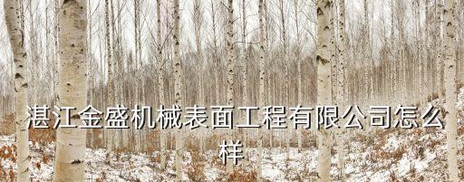  湛江金盛機(jī)械表面工程有限公司怎么樣
