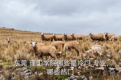  東莞 理工學(xué)院哪些是冷門 專業(yè),哪些熱門