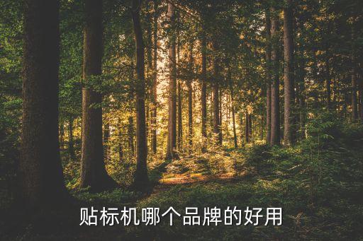遼寧自動化貼標(biāo)機設(shè)備價格,全自動貼標(biāo)機是什么?