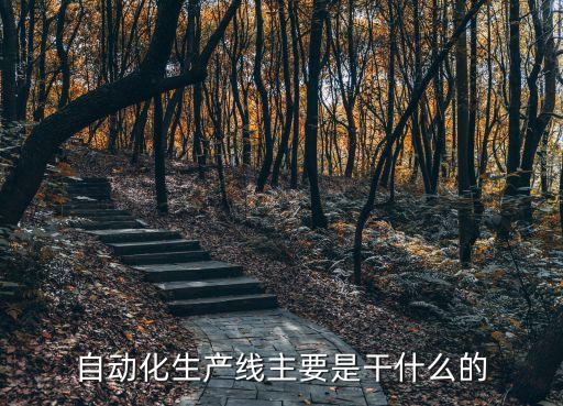 自動(dòng)化生產(chǎn)線主要是干什么的