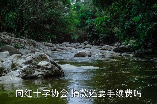 中國紅十字會(huì)捐款,個(gè)人向紅十字會(huì)救助申請(qǐng)