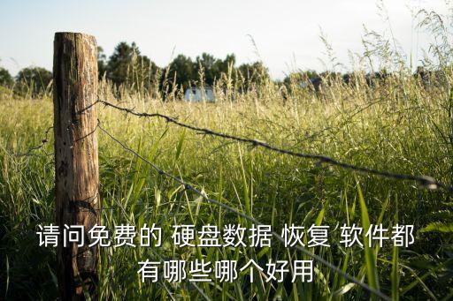 請(qǐng)問免費(fèi)的 硬盤數(shù)據(jù) 恢復(fù) 軟件都有哪些哪個(gè)好用