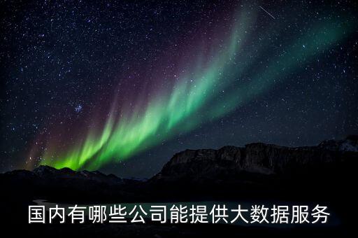國(guó)內(nèi)有哪些公司能提供大數(shù)據(jù)服務(wù)