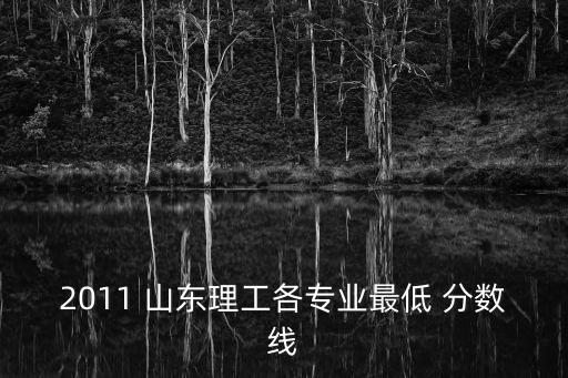 2011 山東理工各專業(yè)最低 分?jǐn)?shù)線