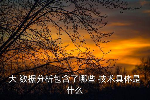 大 數(shù)據(jù)分析包含了哪些 技術(shù)具體是什么