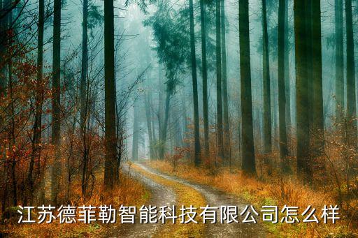 江蘇德菲勒智能科技有限公司怎么樣