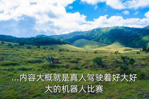 ...內(nèi)容大概就是真人駕駛著好大好大的機(jī)器人比賽