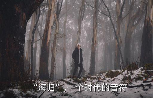 “海歸”,一個時代的音符