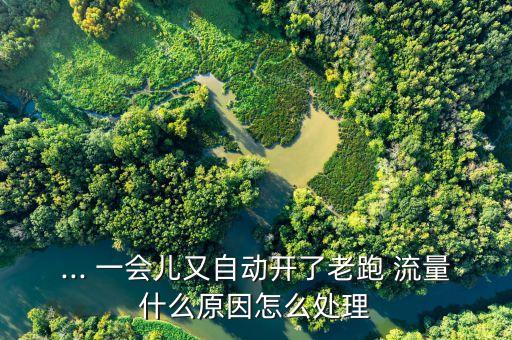 ... 一會兒又自動開了老跑 流量什么原因怎么處理