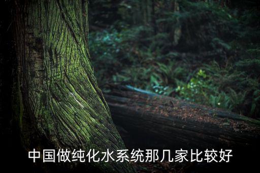 中國(guó)做純化水系統(tǒng)那幾家比較好