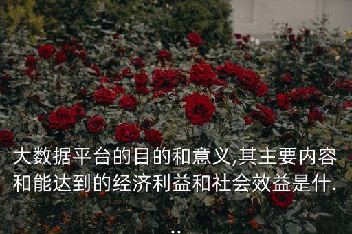 大數(shù)據(jù)平臺(tái)的目的和意義,其主要內(nèi)容和能達(dá)到的經(jīng)濟(jì)利益和社會(huì)效益是什...