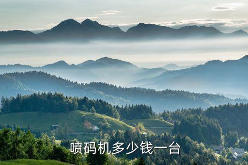 湖北自動(dòng)化噴碼機(jī)設(shè)備廠家