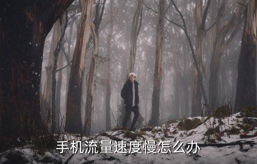 移動數(shù)據(jù)慢咋整,手機數(shù)據(jù)網(wǎng)好慢怎么辦?