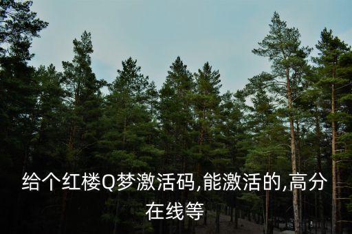 給個(gè)紅樓Q夢(mèng)激活碼,能激活的,高分在線(xiàn)等
