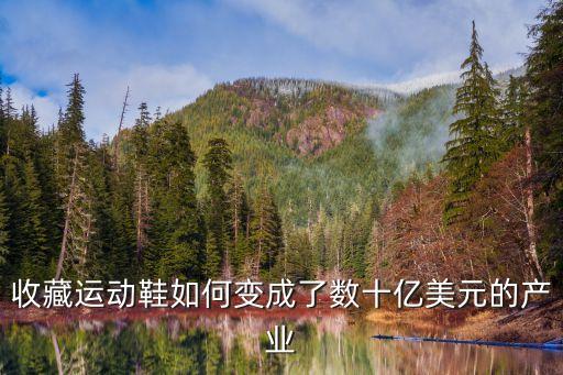 收藏運(yùn)動鞋如何變成了數(shù)十億美元的產(chǎn)業(yè)
