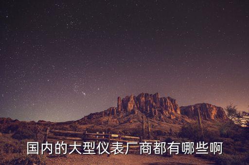 國內(nèi)的大型儀表廠商都有哪些啊