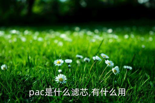 pac是什么濾芯,有什么用