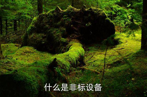 什么是非標(biāo)設(shè)備