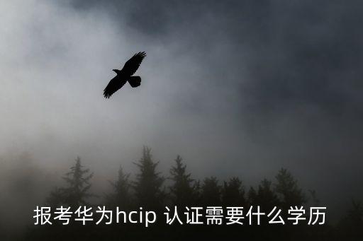 大數(shù)據(jù)分安全師認(rèn)證,安全大數(shù)據(jù)下載