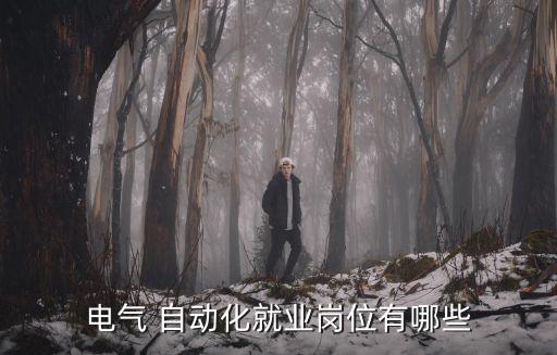電氣 自動化就業(yè)崗位有哪些