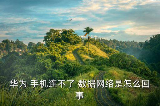 華為 手機(jī)連不了 數(shù)據(jù)網(wǎng)絡(luò)是怎么回事