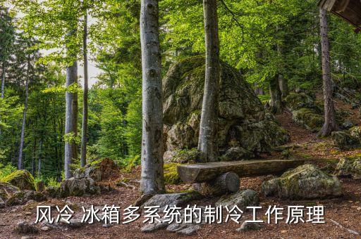 風(fēng)冷 冰箱多系統(tǒng)的制冷工作原理