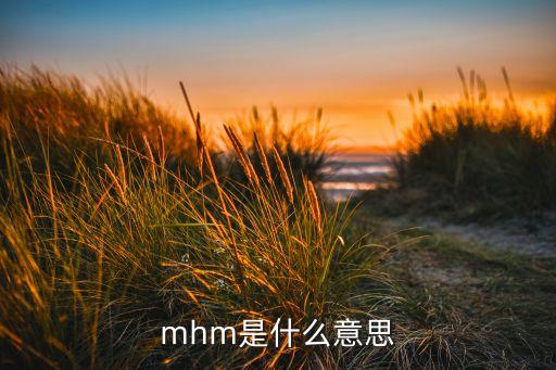 mhm是什么意思