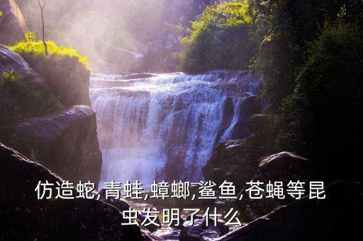 仿造蛇,青蛙,蟑螂,鯊魚,蒼蠅等昆蟲發(fā)明了什么