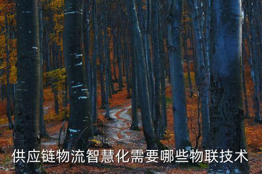 物流設(shè)備自動化天津,物流自動化三大關(guān)鍵