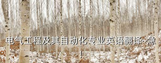 電氣工程及其自動化專業(yè)英語翻譯~急!