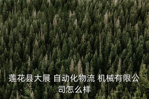 蓮花縣大展 自動化物流 機(jī)械有限公司怎么樣