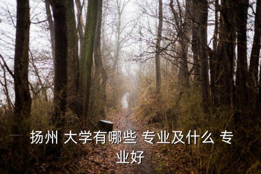  揚(yáng)州 大學(xué)有哪些 專(zhuān)業(yè)及什么 專(zhuān)業(yè)好