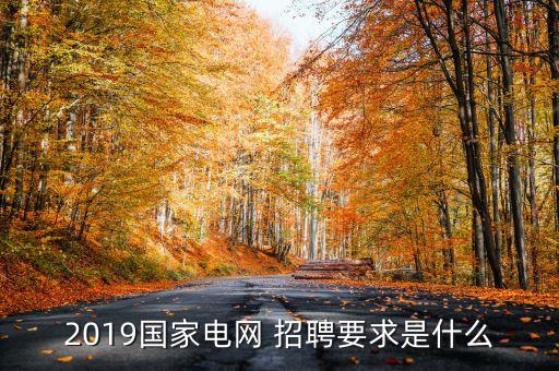2019國家電網(wǎng) 招聘要求是什么