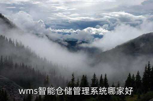 廣西自動(dòng)化智能倉(cāng)儲(chǔ)公司,智能倉(cāng)儲(chǔ)公司排名不錯(cuò)的有哪些?