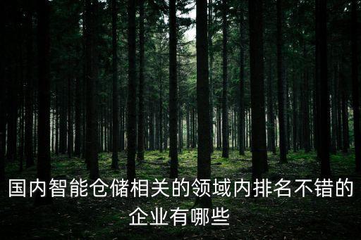 國內(nèi)智能倉儲(chǔ)相關(guān)的領(lǐng)域內(nèi)排名不錯(cuò)的企業(yè)有哪些