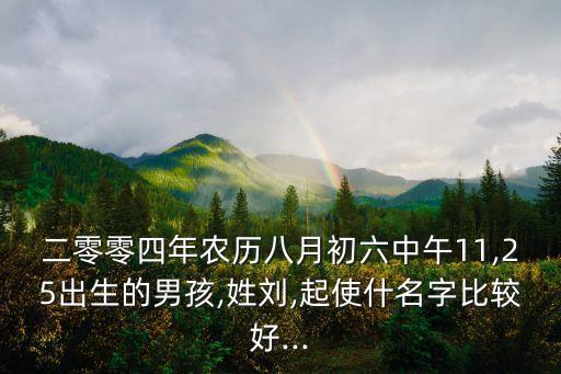 二零零四年農(nóng)歷八月初六中午11,25出生的男孩,姓劉,起使什名字比較好...