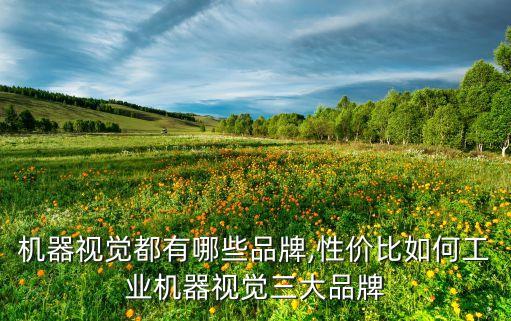 碩能上海自動化有限公司,上海碩樂自動化設備有限公司