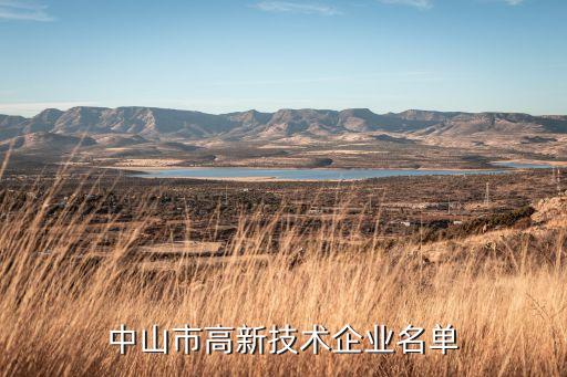 中山市高新技術(shù)企業(yè)名單