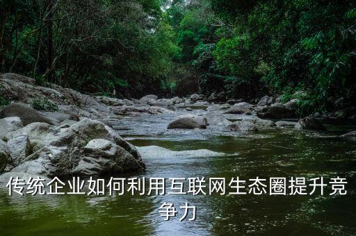 傳統(tǒng)企業(yè)如何利用互聯(lián)網(wǎng)生態(tài)圈提升競(jìng)爭(zhēng)力
