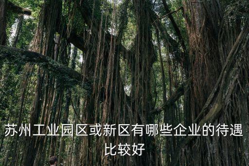蘇州工業(yè)園區(qū)或新區(qū)有哪些企業(yè)的待遇比較好