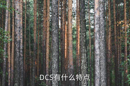 DCS有什么特點(diǎn)