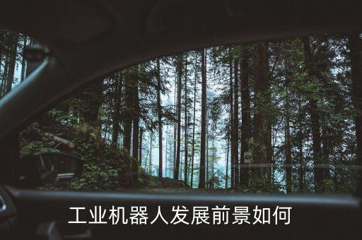 機器人設(shè)計的發(fā)展,仿人機器人發(fā)展歷史及未來發(fā)展前景