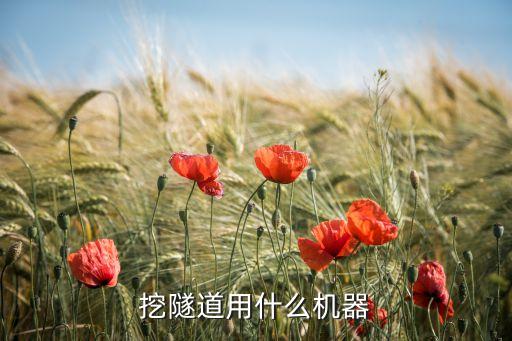 隧道自動化監(jiān)測設(shè)備排行,自動化設(shè)備有哪些?先別急著介紹
