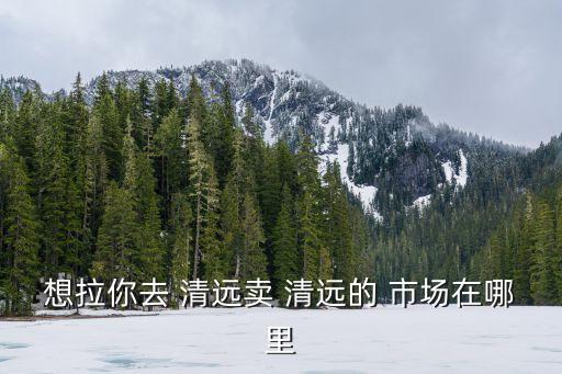 想拉你去 清遠(yuǎn)賣 清遠(yuǎn)的 市場(chǎng)在哪里