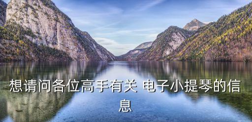想請問各位高手有關(guān) 電子小提琴的信息